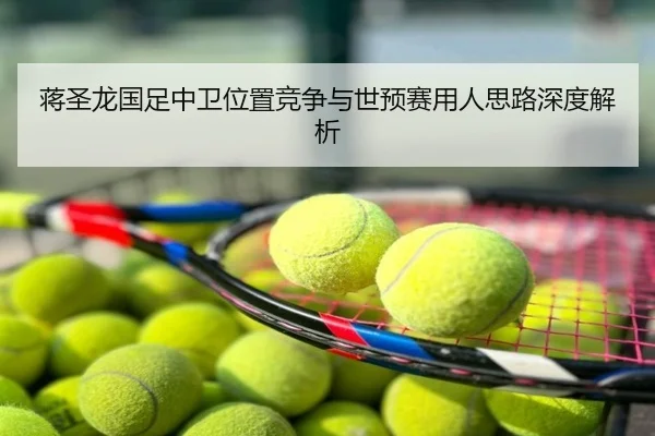 蒋圣龙国足中卫位置竞争与世预赛用人思路深度解析